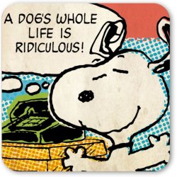 Snoopy - Peanuts - Dog Life - Coaster