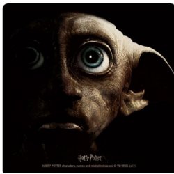 Harry Potter - Dobby Portrait