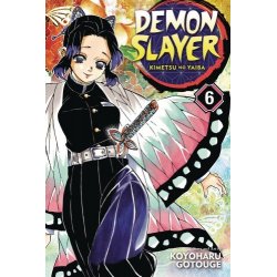 DEMON SLAYER KIMETSU NO YAIBA GN VOL 06