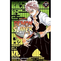 DEMON SLAYER KIMETSU NO YAIBA GN VOL 17
