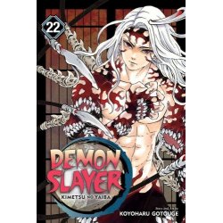 DEMON SLAYER KIMETSU NO YAIBA GN VOL 22