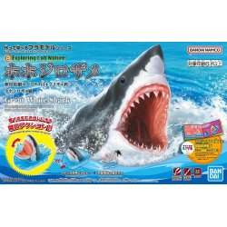 Exploring Lab Nature : Great White Shark