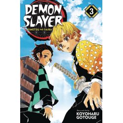 Demon Slayer Kimetsu No Yaiba Gn Vol 3