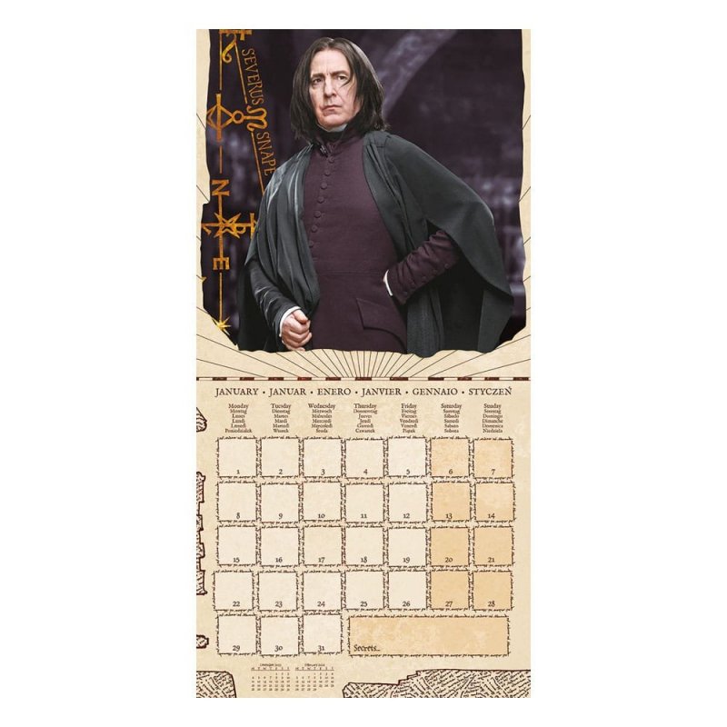 De Toyboys Harry Potter Calendar 2024 Magical Fundations
