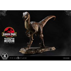 Jurassic Park Prime Collectibles Statue 1/10 Velociraptor Open Mouth 19 cm