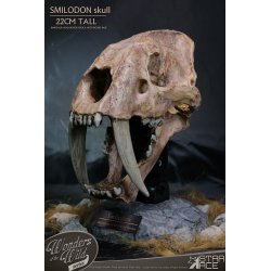 Wonders of the Wild Series Statue Smilodon Skull Fossil 22 cm