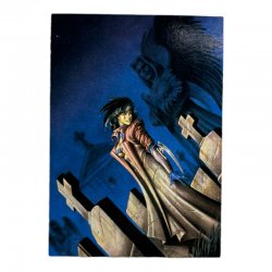 Joseph Michael Linsner: Dawn and Beyond Card no.65 - Razor's Sorrow