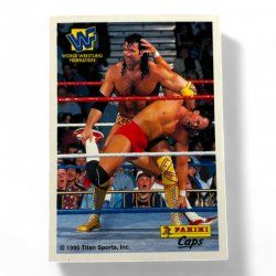 WWF Panini Caps Game Instrcutons Collector Card