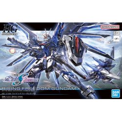 Gundam: STTS-909 Rising Freedom Gundam HGCE 1/144