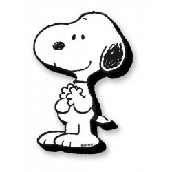 Peanuts: Snoopy Funky Chunky Magnets