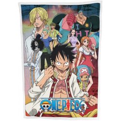 One Piece Fleece Blanket Ver. 4 100 x 150 cm