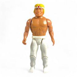 Dragon Force: Karate DragonMaster - White Karate Master