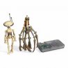 Star Wars: Episode 1 - Gasgano (With Pit Droid)