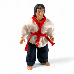 Ninja Samurai And His Combat Master - Ninja Samurai