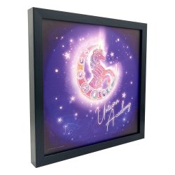 Unicorn Academy Canvas Poster Logo (With Light)