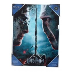 Harry Potter Glass Poster Harry & Voldemort 30 x 40 cm