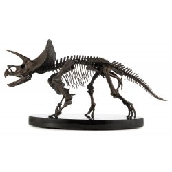 Jurassic World ECC Elite Creature Line Statue 1/12 Triceratops Fossil Skeleton Bronze 33 cm
