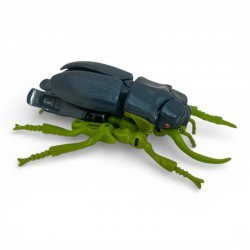 Transformers: Beast Wars - Insecticon