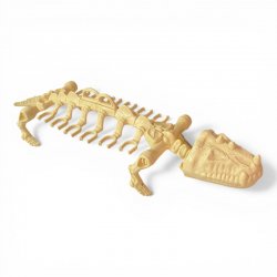 Masters of the Universe - Battle Bones