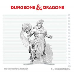 D&D Nolzur's Marvelous Miniatures Mini Figure Dao 6 cm