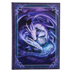 Anne Stokes Journal Welcome Hatchling A5 18 cm
