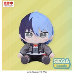 Hatsune Miku: Colorful Stage! Mysekai Plush Figure Toya Aoyagi (S) 13 cm