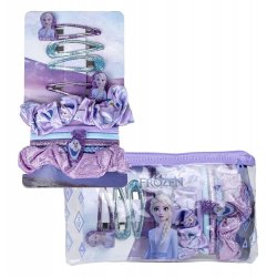 Frozen Beauty Accessories Set