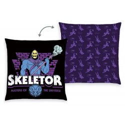 Masters of the Universe Pillow 40 x 40 cm