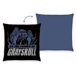 Masters of the Universe Pillow 40 x 40 cm