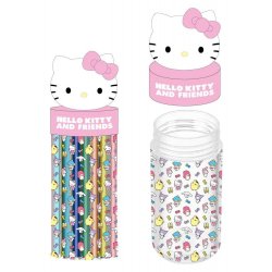 Sanrio Pencil Case with Accessories Hello Kitty