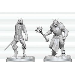 Dungeons & Dragons Nolzur's Marvelous Miniatures Unpainted Miniature Dragonborn Paladin & Dragonborn Squire 14 cm