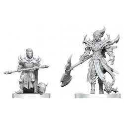 Pathfinder Battles Deep Cuts Unpainted Miniature Pyre & Godclaw Hellknights 14 cm