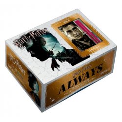 Harry Potter Premium Treasure Box