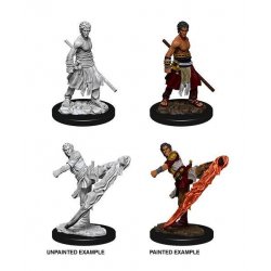 D&D Nolzur's Marvelous Miniatures Unpainted Miniatures Male Half-Elf Monk Case (6)